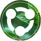 ��������(�й�)���޹�˾�ٷ���վ